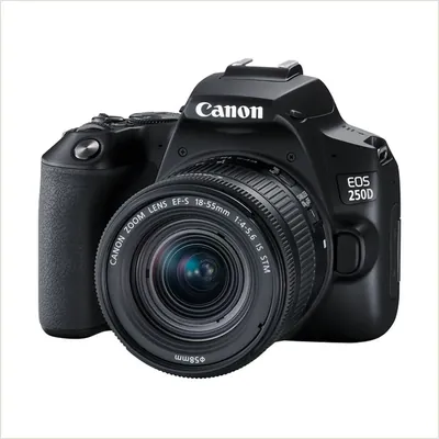 Фотоаппарат Canon EOS 250D Kit EF-S 18-55mm f/4-5.6 IS STM, черный — фото 1