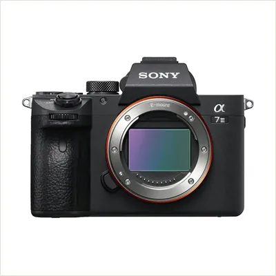 Фотоаппарат Sony Alpha ILCE-7M3 Body — фото 1