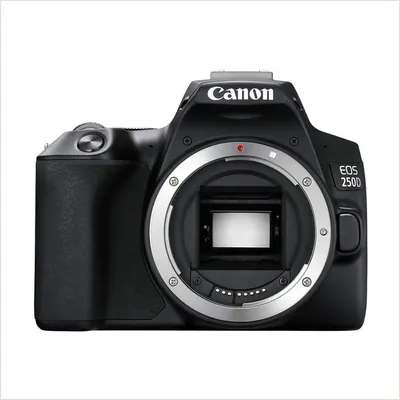 Фотоаппарат Canon EOS 250D Body, черный — фото 1