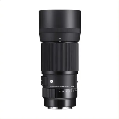 Объектив Sigma AF 105mm f/2.8 DG DN Macro Art L-Mount — фото 1