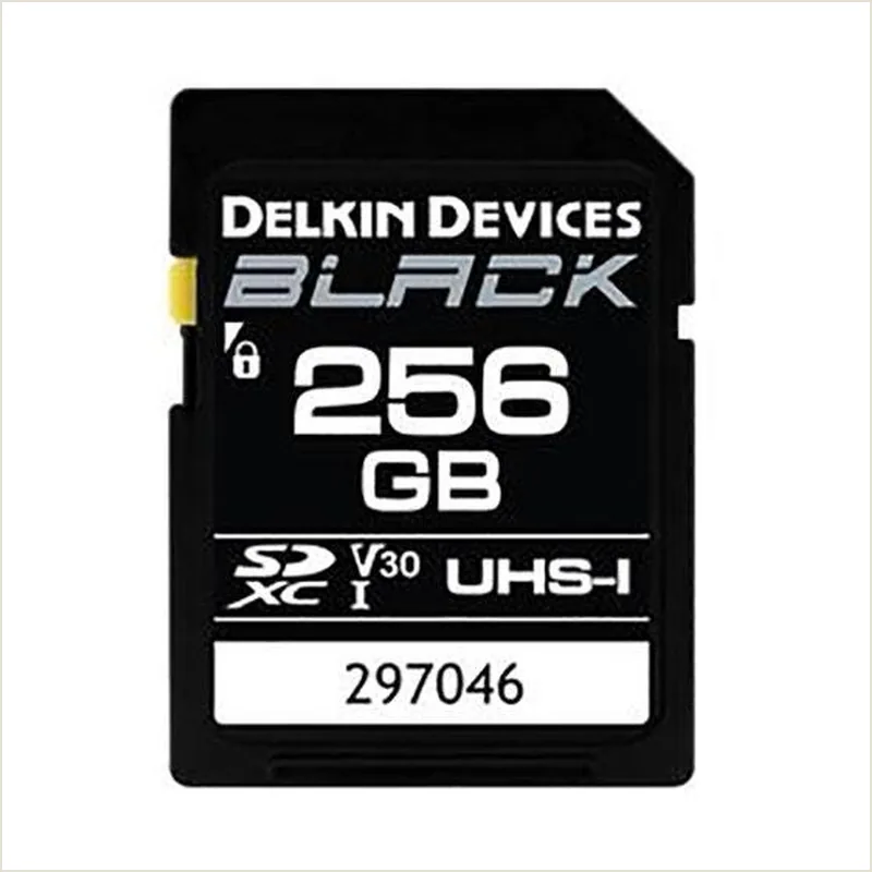 Карта памяти Delkin Devices Black SDXC 256GB UHS-I U3 V30, R/W 90/90 МБ/с