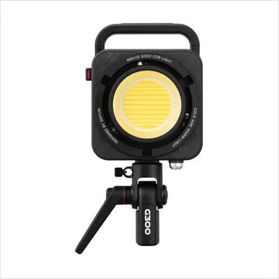 Комплект осветитель Zhiyun MOLUS G300 + кофр для G300 — фото 1