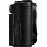 Фотоаппарат Panasonic Lumix S9 Kit 20-60 f/3.5-5.6 купить по выгодной цене в онлайн-магазине Fotolit.ru с доставкой по Москве и России.