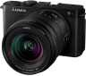 Фотоаппарат Panasonic Lumix S9 Kit 20-60 f/3.5-5.6 купить по выгодной цене в онлайн-магазине Fotolit.ru с доставкой по Москве и России.